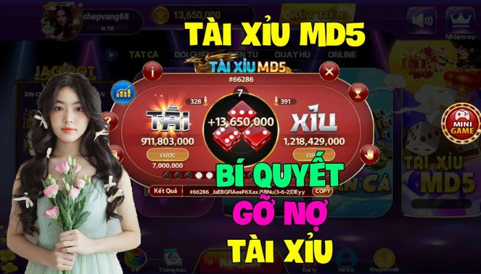 Lưu ý khi cược tài xỉu MD5 Kubet88 